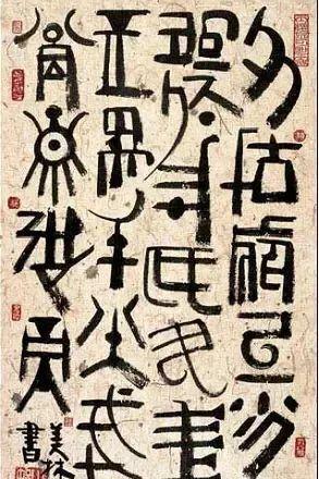 惊 猴子高清晰图 引发热议,网友纷纷点赞
