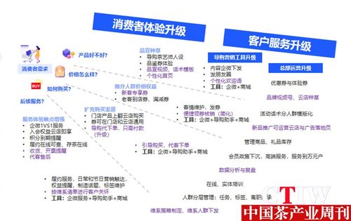 竹叶青携手云徙深化数字化战略,引领茶行业创新发展