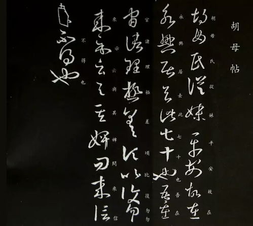胡母帖 为 十七帖 丛帖第十八通尺牍 草书,5行,42字 问问