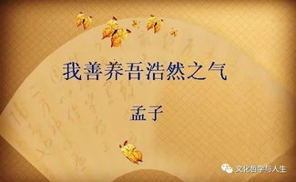 孟子 我们被掩埋的 尊严与价值