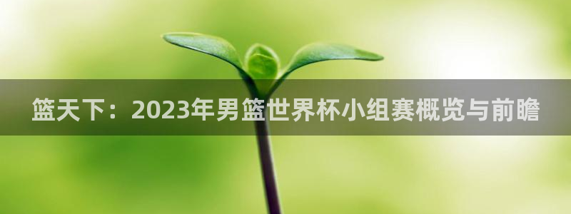 世界杯足球：篮天下：2023年男篮世界杯小组赛概览与前瞻