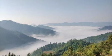 云上水乡普者黑行摄记 漫步舍得草场，邂逅五月滇东南的诗意