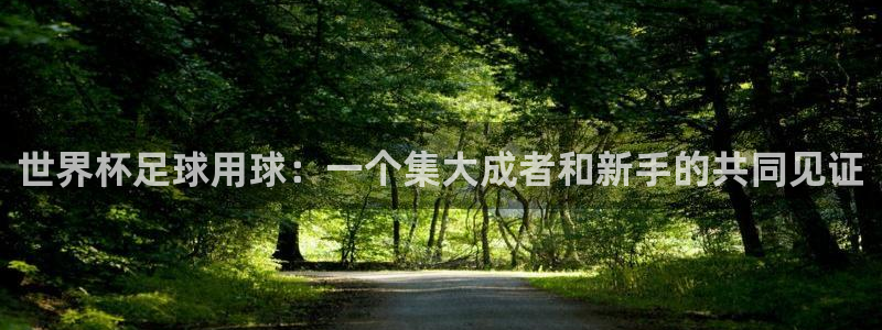 2026世界杯亚洲预选赛赛程：世界杯足球用球：一个集大成者和新手的共同见证