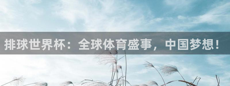 世界杯2026比赛时间表：排球世界杯：全球体育盛事，中国梦想！