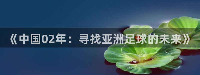 世界杯2026赛制：《中国02年：寻找亚洲足球的未来》