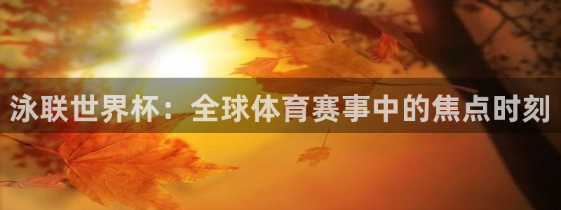 2026年世界杯直播平台:泳联世界杯:全球体育赛事中的焦点时刻