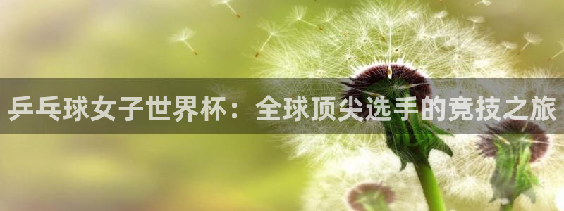 欧洲区世界杯预选赛：乒乓球女子世界杯：全球顶尖选手的竞技之旅