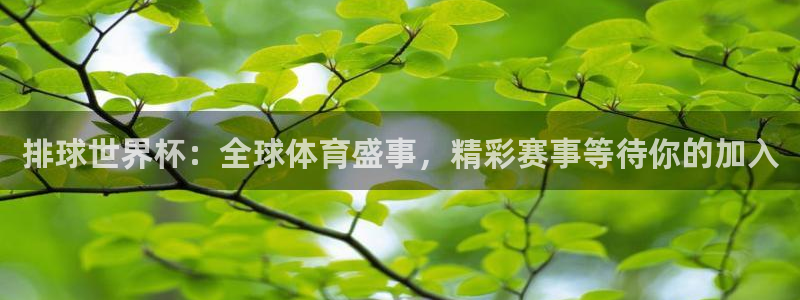 2026年男足世界杯：排球世界杯：全球体育盛事，精彩赛事等待你的加入
