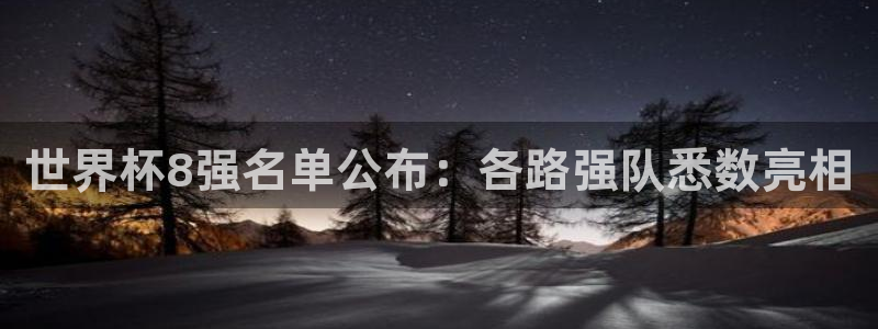 足球世界杯2026:世界杯8强名单公布:各路强队悉数亮相