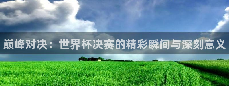 世界杯在线直播入口:巅峰对决:世界杯决赛的精彩瞬间与深刻意义