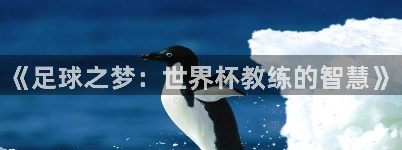 世界杯2026赛程时间表格:《足球之梦:世界杯教练的智慧》